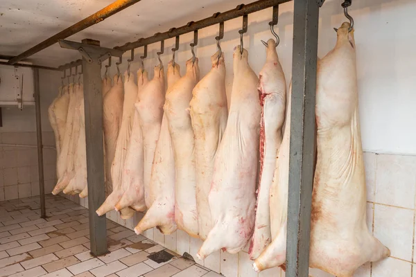 Matadero de un cerdo, canales de cerdo, carne de cerdo de jamón, canales de cerdo colgadas — Foto de Stock