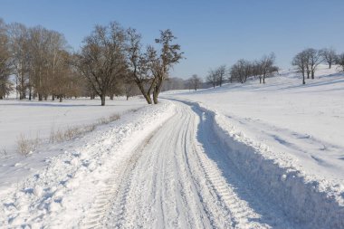 Kış masal, ağaçlar, buzlu kış sabahı