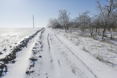 Kış masal, ağaçlar, buzlu kış sabahı