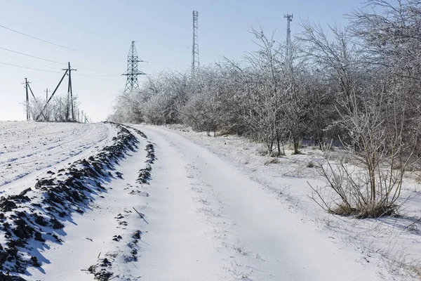 Зимняя Сказка Ледяные Деревья Зимнее Утро — стоковое фото