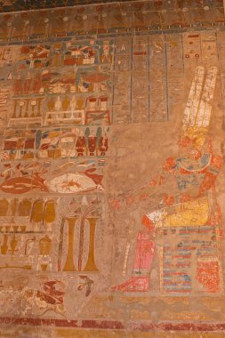 Kraliçe Hatshepsut Tapınak, tapınak üzerinde çizimler