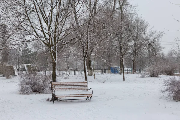 Zimowa Bajka Iced Drzew Zimowy Poranek — Zdjęcie stockowe