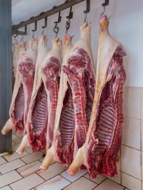 Domuz, domuz, domuz jambon, mürekkep katliamı domuz leşleri astı