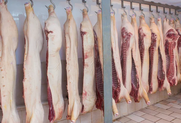 Matadero Cerdo Canales Cerdo Carne Cerdo Jamón Canales Cerdo Colgadas — Foto de Stock