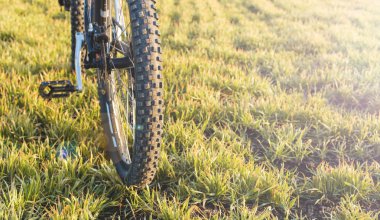 Arkadaki dağ bisikleti koruyucu bir bisiklet yakın çekim