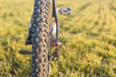 Arkadaki dağ bisikleti koruyucu bir bisiklet yakın çekim