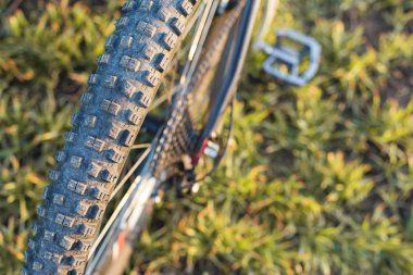 Arkadaki dağ bisikleti koruyucu bir bisiklet yakın çekim