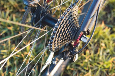 Arkadaki dağ bisikleti koruyucu bir bisiklet yakın çekim