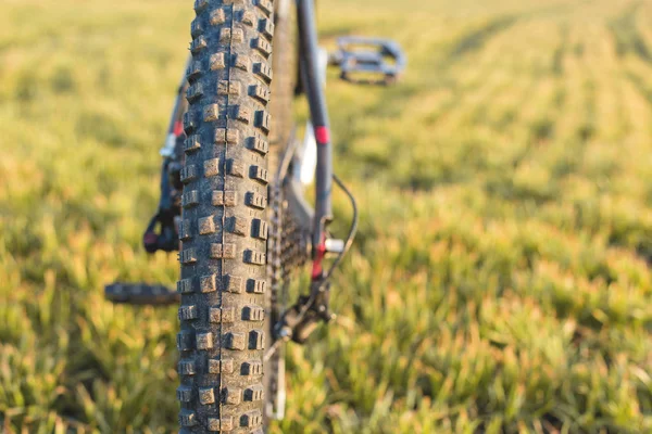 Arkadaki dağ bisikleti koruyucu bir bisiklet yakın çekim