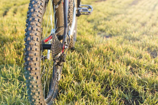 Acercamiento Una Bicicleta Parte Posterior Mountain Bike Protector —  Fotos de Stock