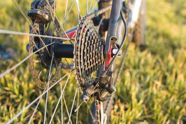 Närbild Cykel Baksidan Mountain Bike Protector — Stockfoto