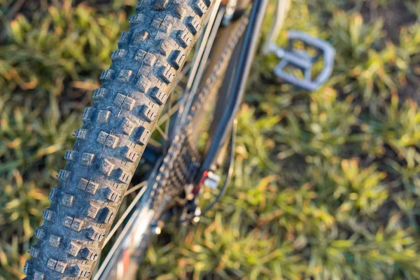 Arkadaki dağ bisikleti koruyucu bir bisiklet yakın çekim