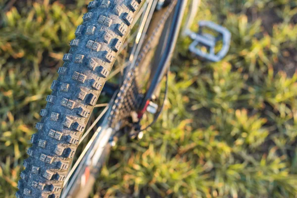 Arkadaki dağ bisikleti koruyucu bir bisiklet yakın çekim