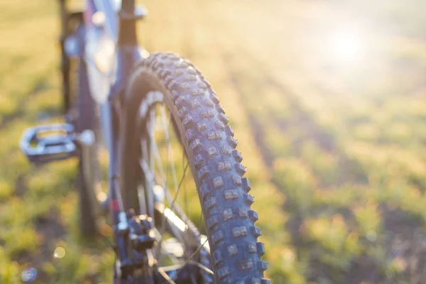 Arkadaki Dağ Bisikleti Koruyucu Bir Bisiklet Yakın Çekim — Stok fotoğraf