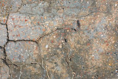 Asbest kayrak doku beton kaplı liken ve moss, sanayi malzeme doğal çimento ile