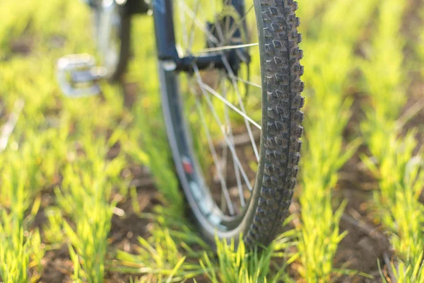 Yeşil Çimenlerin Üzerinde Bahar Bisiklet Sürme Mountainbiker — Stok fotoğraf