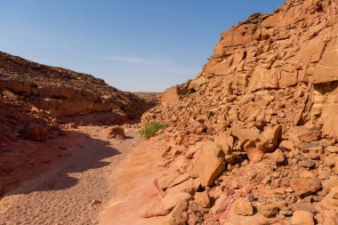 Renkli Kanyon South Sinai (Mısır) Yarımadası'nda bir rock oluşumdur. Çöl kayalar çok renkli kumtaşı arka plan.