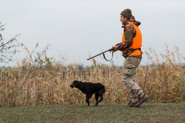 Elinde silahı olan bir avcı ve yansıtıcı turuncu yelekli bir av köpeği bozkırda bir sülün avlıyor..