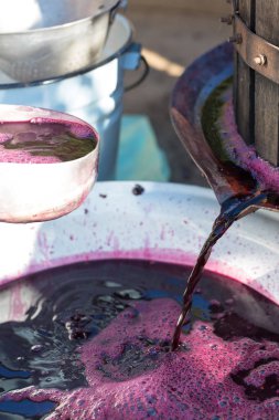 Kırmızılı şarap presi ve sarmal vida. Geleneksel şarap yapma tekniği. Çiğ üzümleri yakından sıkma işlemi.