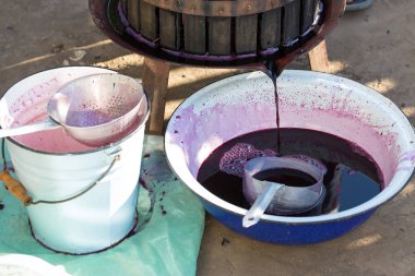 Kırmızılı şarap presi ve sarmal vida. Geleneksel şarap yapma tekniği. Çiğ üzümleri yakından sıkma işlemi.