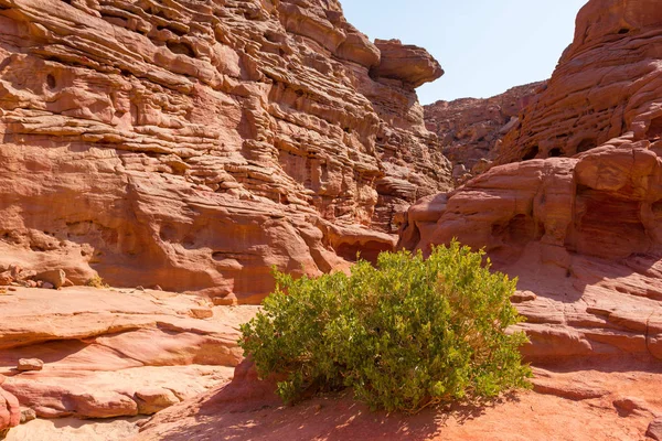 Canionul Colorat Este Formațiune Rocă Din Peninsula Sinai Sud Egipt — Fotografie, imagine de stoc