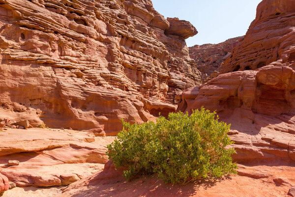 Coloured Canyon is a rock formation on South Sinai (Egypt) peninsula. Desert rocks of multicolored sandstone background.