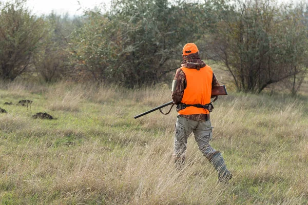 Elinde Silahı Olan Bir Avcı Yansıtıcı Turuncu Yelekli Bir Köpeği — Stok fotoğraf