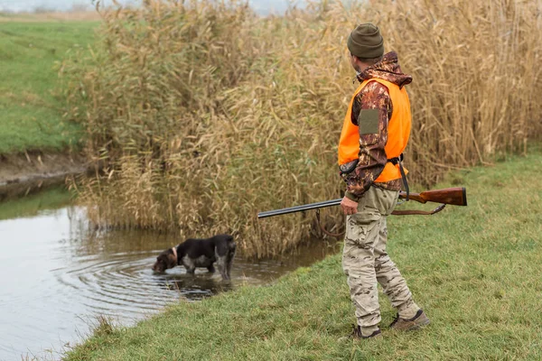 A hunter with a gun in his hands and a hunting dog in a reflective orange vest hunts a pheasant in the steppe.