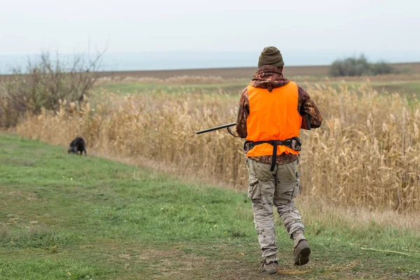 Hombre Con Arma Sus Manos Chaleco Naranja Una Cacería Faisanes —  Fotos de Stock