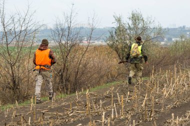 Elinde silah ve turuncu yelek olan bir adam bulutlu bir havada ormanlık alanda sülün avında. Oyun arayan köpeklerle avcılar.