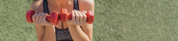 Ein Junges Schlankes Athletisches Mädchen Sportbekleidung Mit Schlangenhaut Prints Macht — Stockfoto