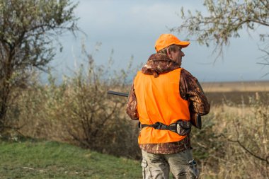 Elinde silah ve turuncu yelek olan bir adam bulutlu bir havada ormanlık alanda sülün avında. Avcı köpeklerle av peşinde.
