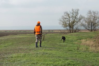 Elinde silah ve turuncu yelek olan bir adam bulutlu bir havada ormanlık alanda sülün avında. Avcı köpeklerle av peşinde.