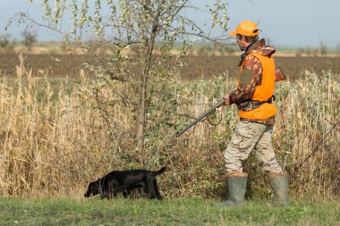 Elinde silah ve turuncu yelek olan bir adam bulutlu bir havada ormanlık alanda sülün avında. Avcı köpeklerle av peşinde.