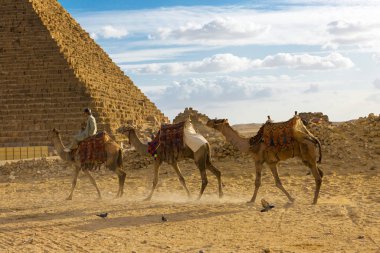 Kahire 'deki kum çölünde meşhur Giza Piramitleri