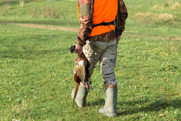 Hombre Con Arma Sus Manos Chaleco Naranja Una Cacería Faisanes — Foto de Stock