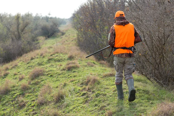 Hombre Con Arma Sus Manos Chaleco Naranja Una Cacería Faisanes —  Fotos de Stock