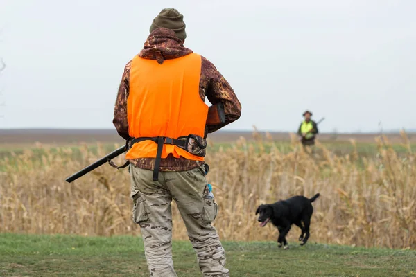 Hombre Con Arma Las Manos Chaleco Naranja Una Cacería Faisanes —  Fotos de Stock