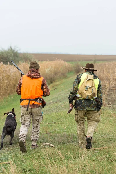 A mans with a gun in his hands and an orange vest on a pheasant hunt in a wooded area in cloudy weather. Hunters with dogs in search of game.