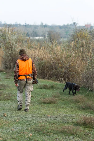 Muž Pistolí Rukou Oranžovou Vestou Honu Bažantem Zalesněné Oblasti Zataženého — Stock fotografie