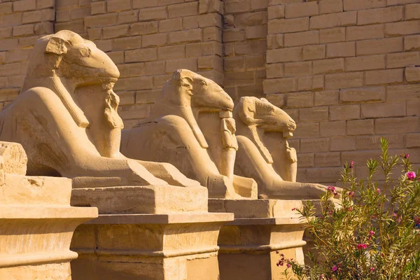 エジプトのルクソール テーベ にあるカルナック神殿の古代遺跡 世界最大の寺院の古代の複合体 ユネスコ世界遺産 — ストック写真