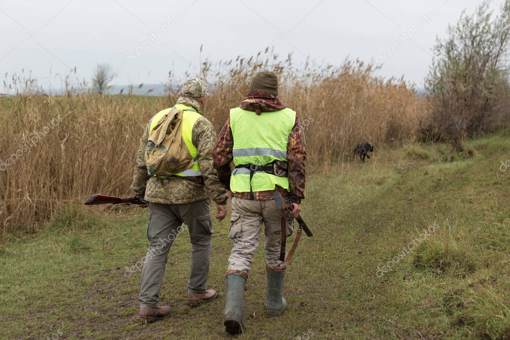 A mans with a gun in his hands and an orange vest on a pheasant hunt in a wooded area in cloudy weather. Hunters with dogs in search of game.