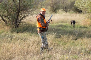 Elinde silah ve turuncu yelek olan bir adam bulutlu bir havada ormanlık alanda sülün avında. Avcı köpeklerle av peşinde.