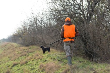 Elinde silah ve turuncu yelek olan bir adam bulutlu bir havada ormanlık alanda sülün avında. Avcı köpeklerle av peşinde.
