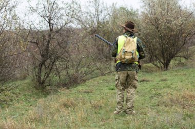Elinde silah ve turuncu yelek olan bir adam bulutlu bir havada ormanlık alanda sülün avında. Avcı köpeklerle av peşinde.