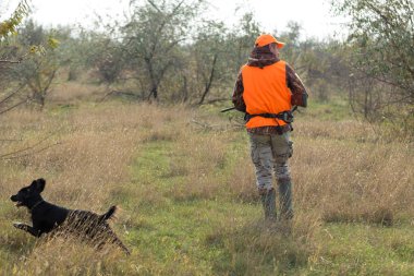 Elinde silah ve turuncu yelek olan bir adam bulutlu bir havada ormanlık alanda sülün avında. Avcı köpeklerle av peşinde.