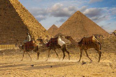 Kahire 'deki kum çölünde meşhur Giza Piramitleri.