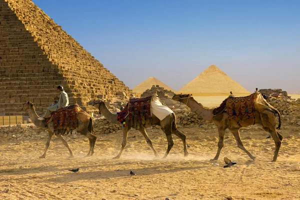 Kahire 'deki kum çölünde meşhur Giza Piramitleri.