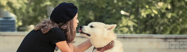 Japanese Hunting Dog Breed Kisyu Beautiful Portrait White Dog Close — Stock Photo, Image