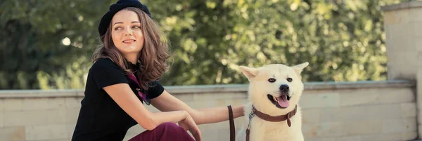 Japonês Cão Caça Raça Kisyu Belo Retrato Cão Branco Perto — Fotografia de Stock